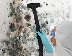 Best Mold Removal for HVAC Installations in Van Meter, IA